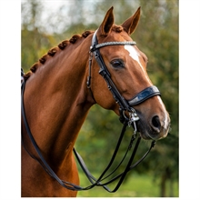 Presteq FayRein kandartyglar Outlet